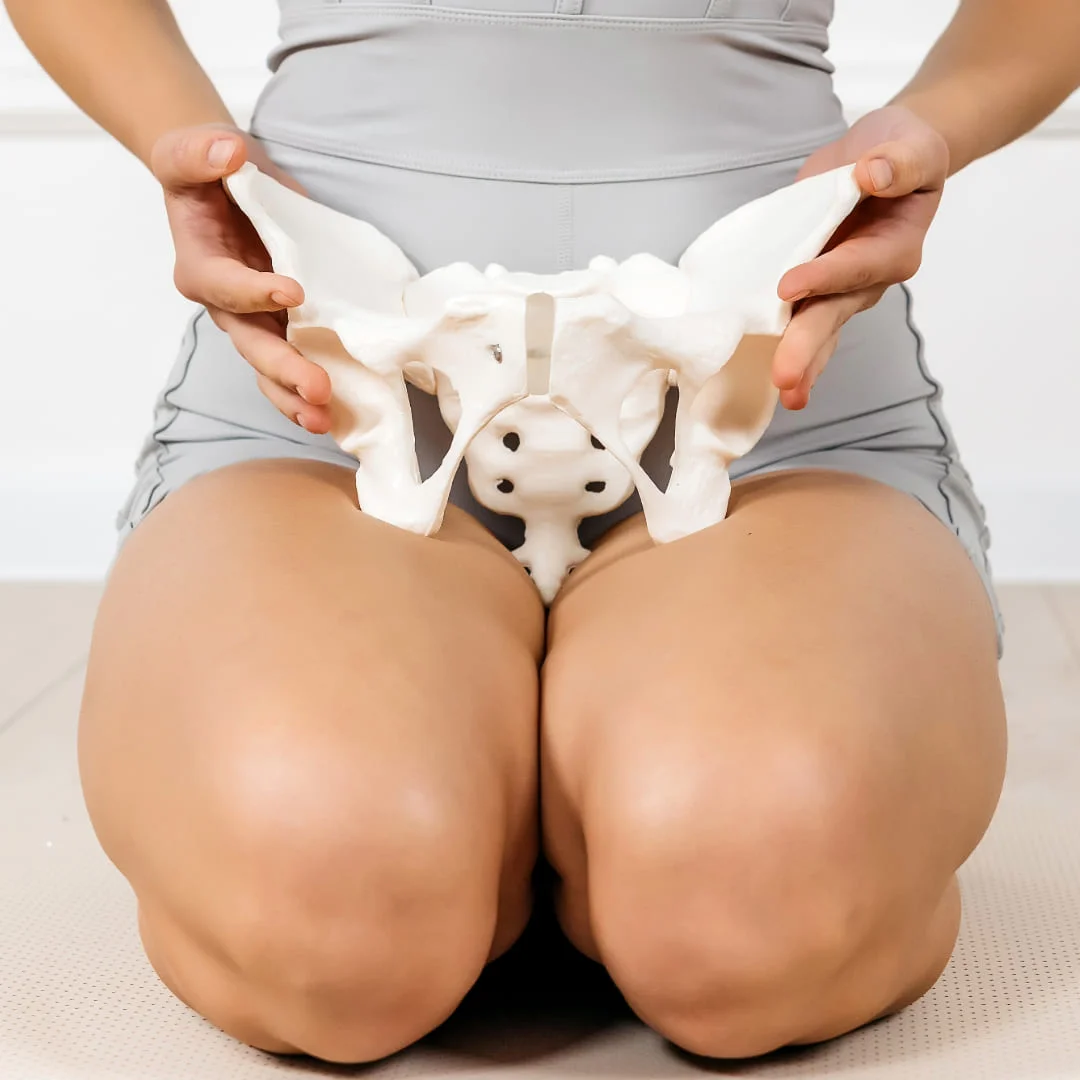 Fisioterapia Pélvica